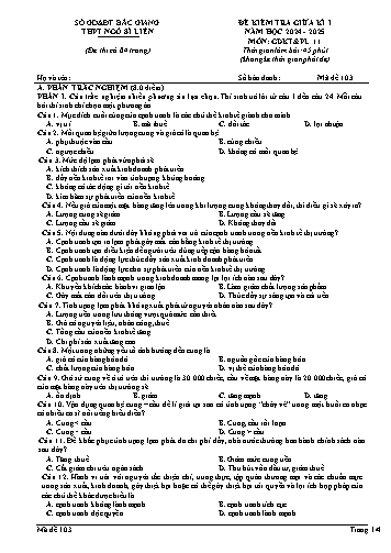 Đề kiểm tra giữa học kì I GDKT&PL 11 - Mã đề 103 - Năm học 2024-2025 - Trường THPT Ngô Sĩ Liên (Có đáp án + Ma trận)