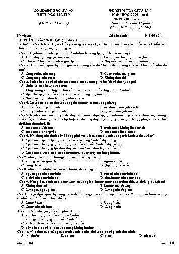 Đề kiểm tra giữa học kì I GDKT&PL 11 - Mã đề 104 - Năm học 2024-2025 - Trường THPT Ngô Sĩ Liên (Có đáp án + Ma trận)