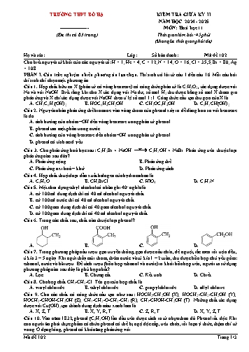 Đề kiểm tra giữa học kì II Hóa học 11 - Mã đề 102 - Năm học 2024-2025 - Trường THPT Bố Hạ (Có đáp án + Ma trận)