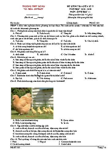 Đề kiểm tra giữa học kì II Sinh học 11 - Mã đề 102 - Năm học 2024-2025 - Trường THPT Bố Hạ (Có đáp án + Ma trận)