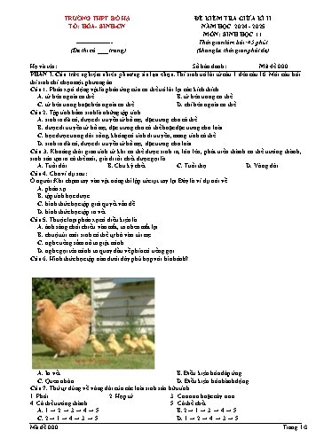 Đề kiểm tra giữa học kì II Sinh học 11 - Năm học 2024-2025 - Trường THPT Bố Hạ (Có đáp án + Ma trận)