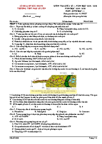 Đề kiểm tra giữa kì I Sinh học 11 - Mã đề 000 - Năm học 2024-2025 - Trường THPT Ngô Sĩ Liên