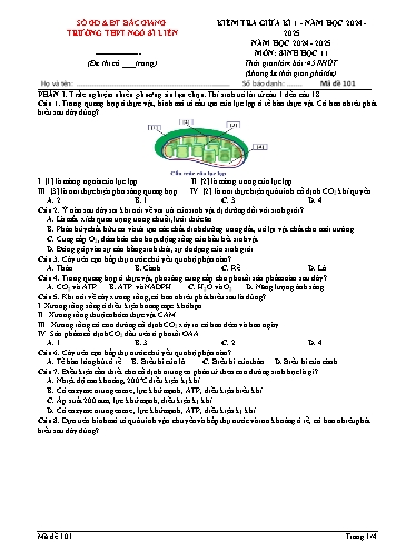 Đề kiểm tra giữa kì I Sinh học 11 - Mã đề 101 - Năm học 2024-2025 - Trường THPT Ngô Sĩ Liên (Có đáp án)