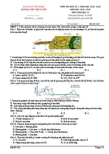 Đề kiểm tra giữa kì I Sinh học 11 - Mã đề 102 - Năm học 2024-2025 - Trường THPT Ngô Sĩ Liên (Có đáp án)