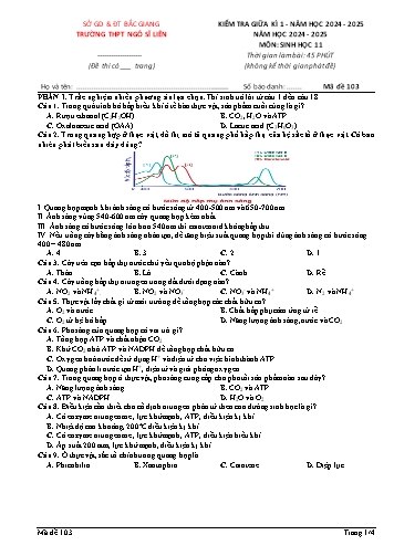 Đề kiểm tra giữa kì I Sinh học 11 - Mã đề 103 - Năm học 2024-2025 - Trường THPT Ngô Sĩ Liên (Có đáp án)