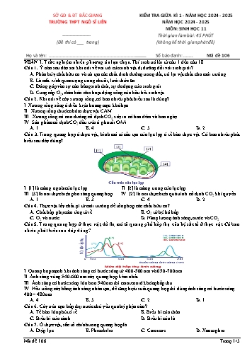 Đề kiểm tra giữa kì I Sinh học 11 - Mã đề 106 - Năm học 2024-2025 - Trường THPT Ngô Sĩ Liên (Có đáp án)