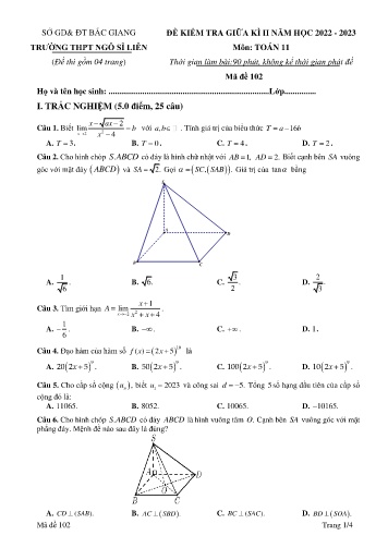 Đề kiểm tra giữa kì I Toán 11 - Mã đề 102 - Năm học 2022-2023 - Trường THPT Ngô Sĩ Liên