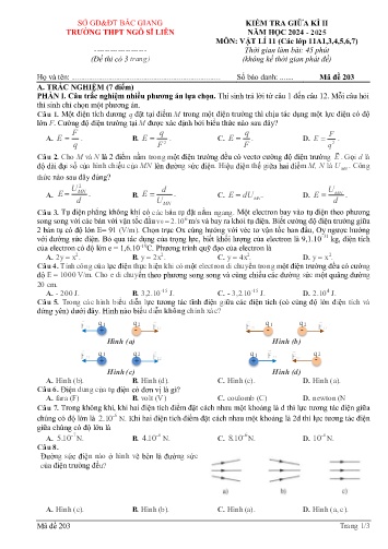 Đề kiểm tra giữa kì II Vật lí 11 - Mã đề 203 - Năm học 2024-2025 - Trường THPT Ngô Sĩ Liên (Có đáp án + Ma trận)
