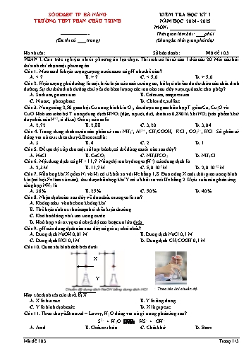 Đề kiểm tra học kì I Hóa học 11 - Mã đề 103 - Năm học 2024-2025 - Trường THPT Phan Châu Trinh (Có đáp án)