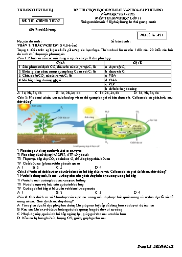 Đề thi HSG Văn hóa cấp trường Sinh học 11 - Mã đề 421 - Năm học 2024-2025 - Trường THPT Bố Hạ (Có đáp án)