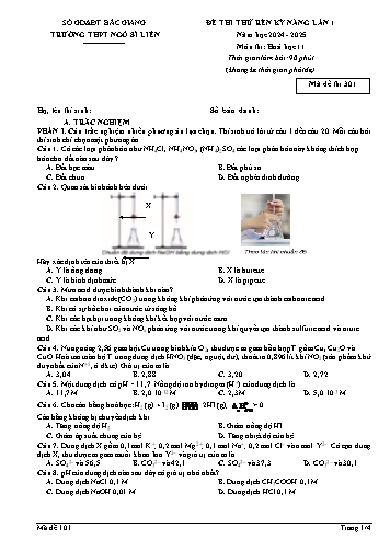 Đề thi thử rèn kĩ năng Hóa học 11 (Lần 1) - Mã đề 301 - Năm học 2024-2025 - Trường THPT Ngô Sĩ Liên (Có đáp án)