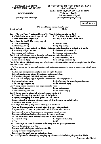 Đề thi thử THPT QG Địa lí 11 (Lần 1) - Mã đề 743 - Năm học 2018-2019 - Trường THPT Ngô Sĩ Liên (Có đáp án + Ma trận)