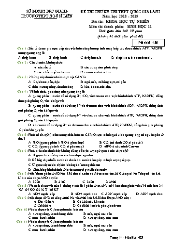 Đề thi thử THPT QG Sinh học 11 (Lần 1) - Mã đề 485 - Năm học 2018-2019 - Trường THPT Ngô Sĩ Liên (Có đáp án)