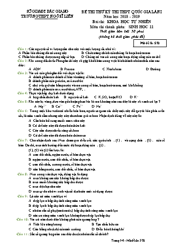 Đề thi thử THPT QG Sinh học 11 (Lần 1) - Mã đề 570 - Năm học 2018-2019 - Trường THPT Ngô Sĩ Liên (Có đáp án)