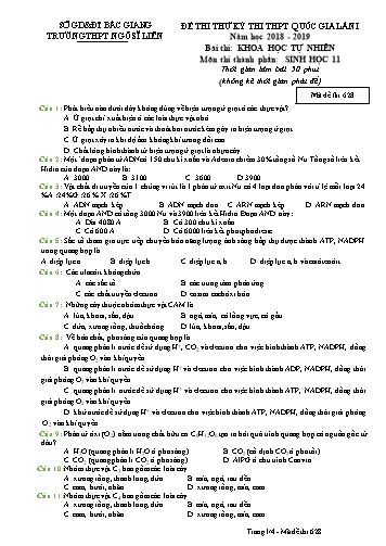 Đề thi thử THPT QG Sinh học 11 (Lần 1) - Mã đề 628 - Năm học 2018-2019 - Trường THPT Ngô Sĩ Liên (Có đáp án)