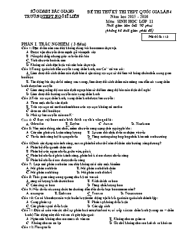 Đề thi thử THPT QG Sinh học 11 (Lần 4) - Mã đề 113 - Năm học 2015-2016 - Trường THPT Ngô Sĩ Liên (Có đáp án)