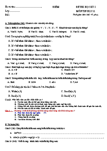 2 Đề thi học kì I Tin học 11